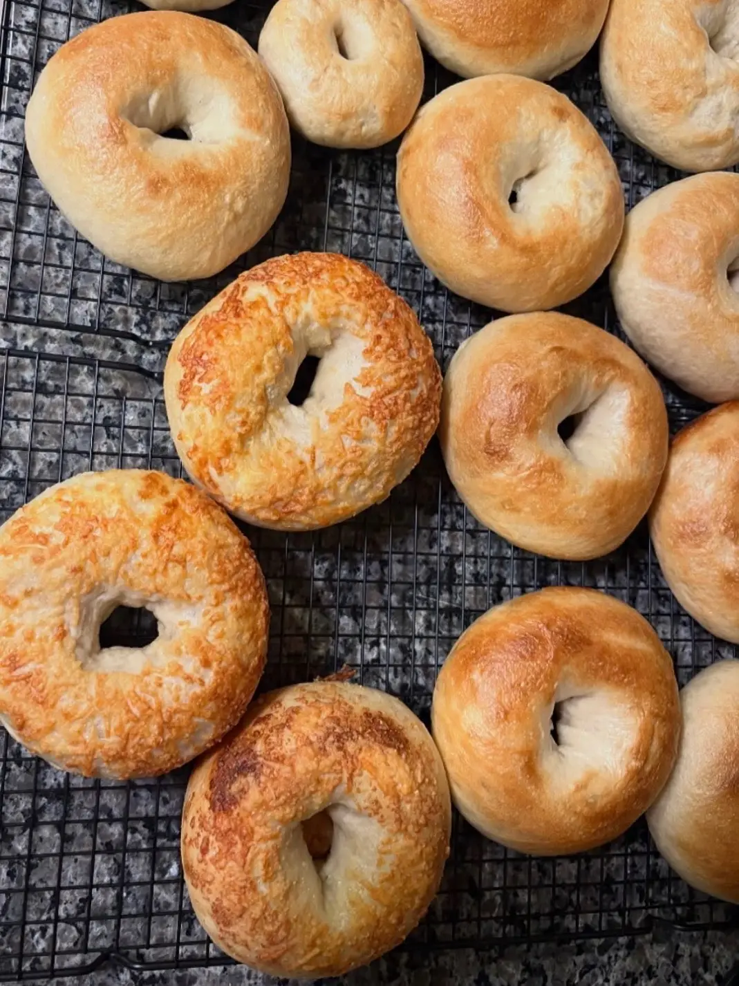 Plain and parmesan sourdough bagels cooling on a rack