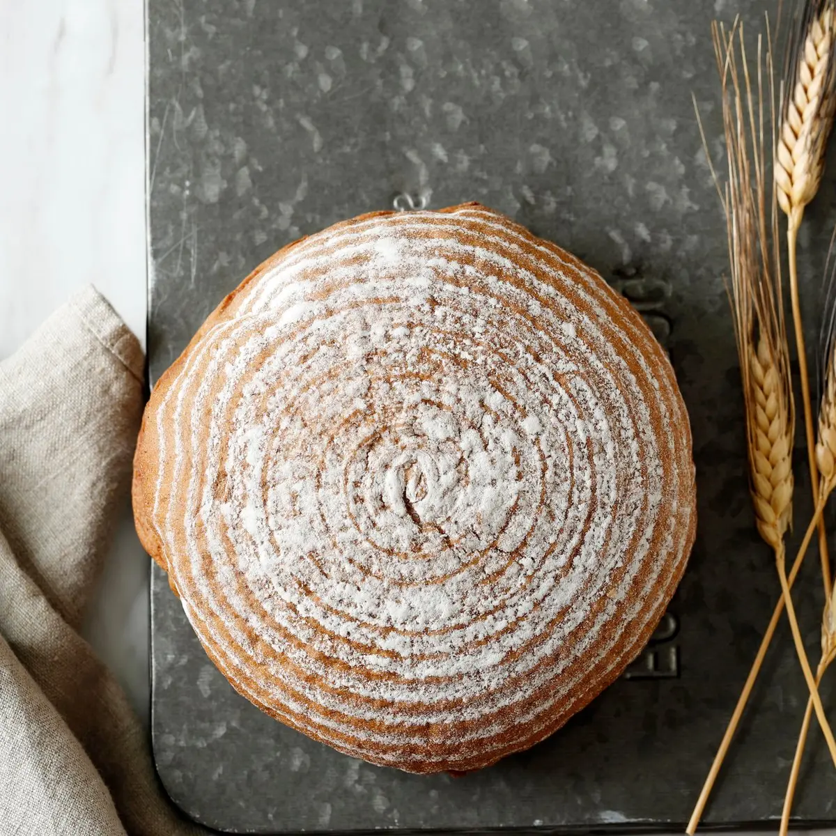 A round sourdough boule dusted with flour on a metal tray, wheat stalks alongside